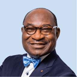 Dr Nelson Ogunshakin FREng, OBE