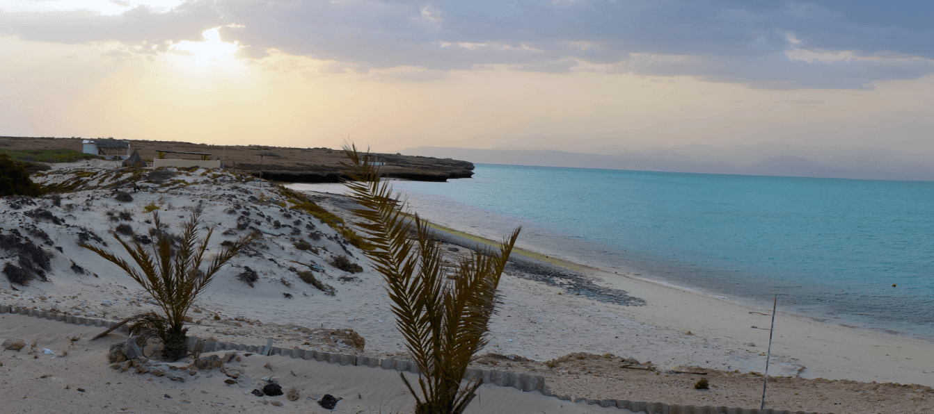 Air Djibouti To Partner On Island Tourism Project
