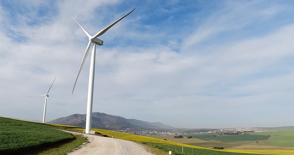 Mozambique Wind Project Expects Financial Close in 2024 