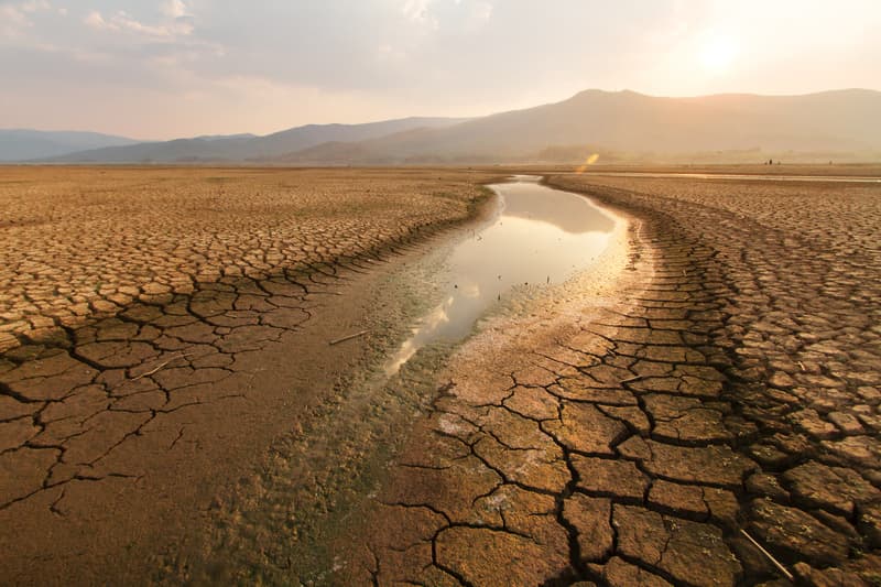 African Corporates Get Serious About Climate Change