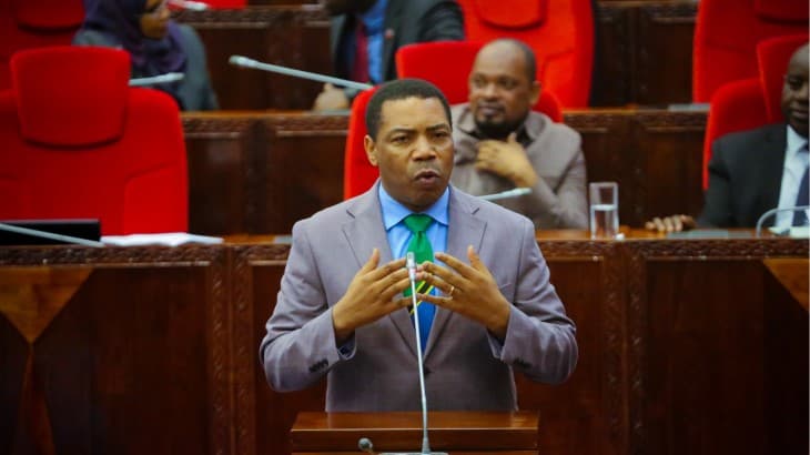 Tanzania Budget: Progress Updates Given On Key Projects