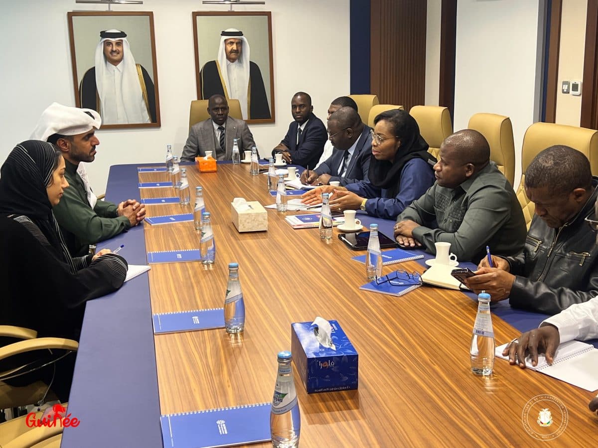 Guinea To Hold Donor Meeting in Dubai