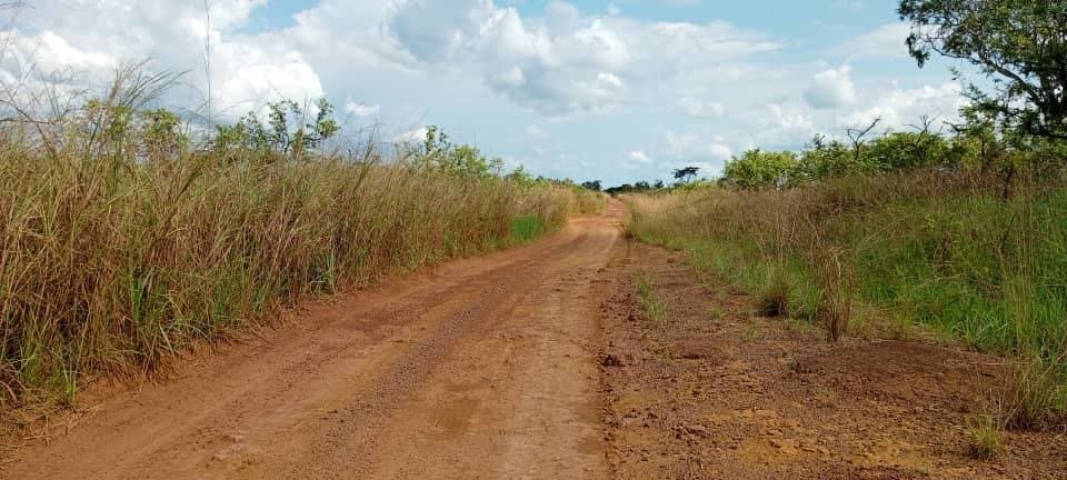 Gabon Starts Work On Congo Border Road
