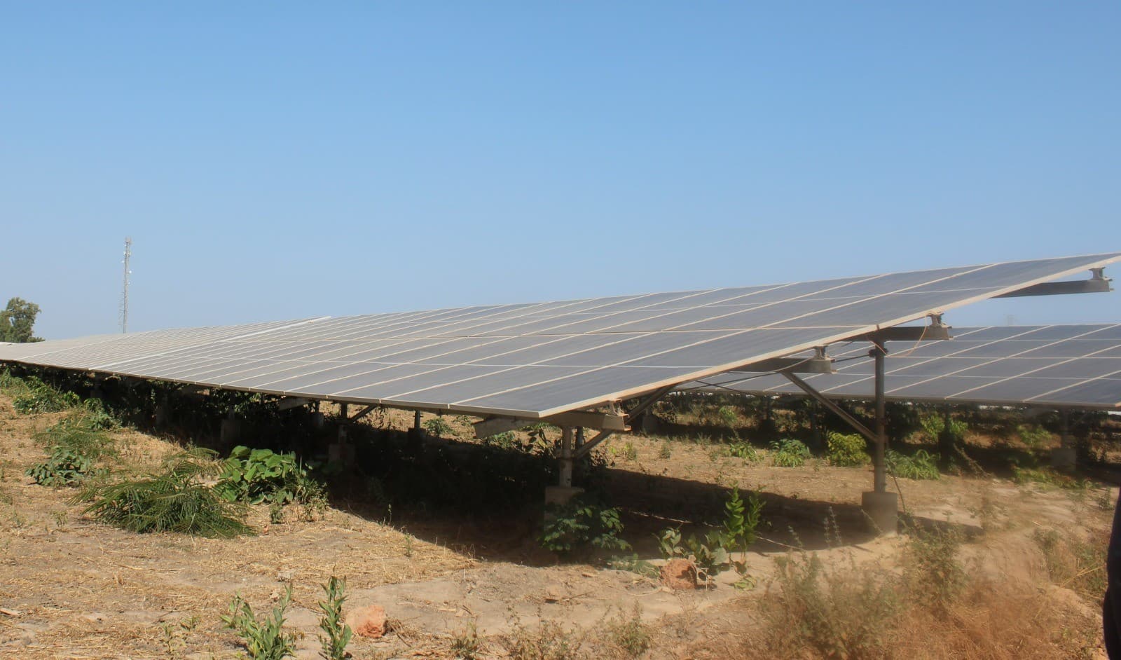 Gambia Invites IPPs For 50MW Solar Park 