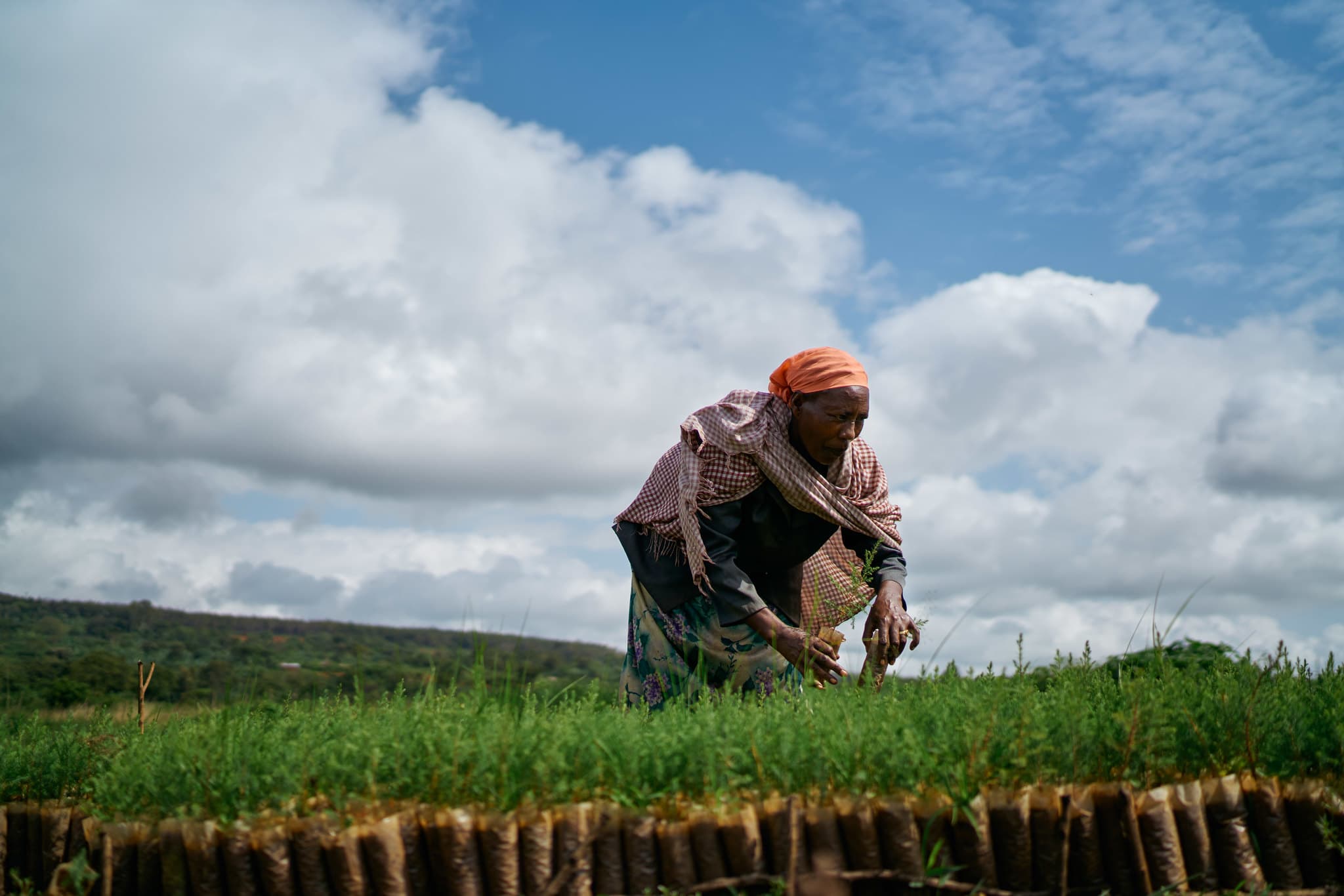 AfDB grants US$46 Million For Ethiopia Rural Water Project