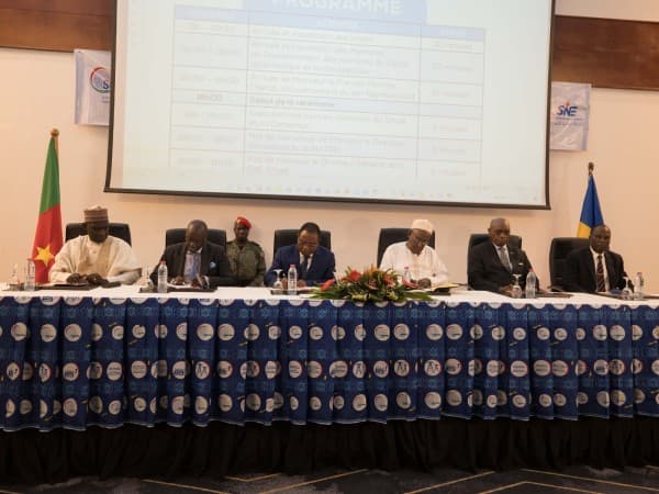 Cameroon And Chad Launch Interconnection Project