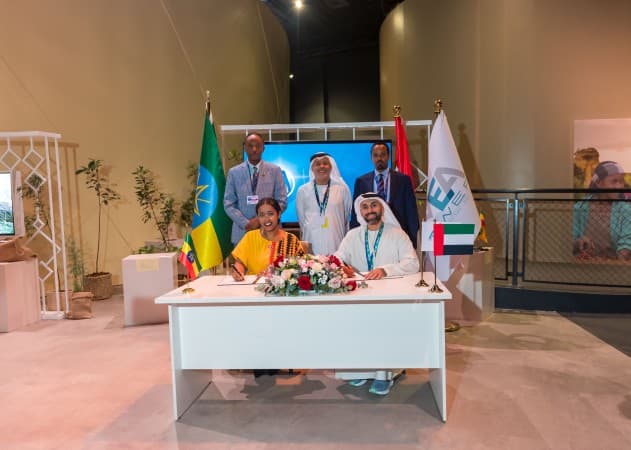 UAE's AMEA Power To Develop Ethiopia Wind Farm