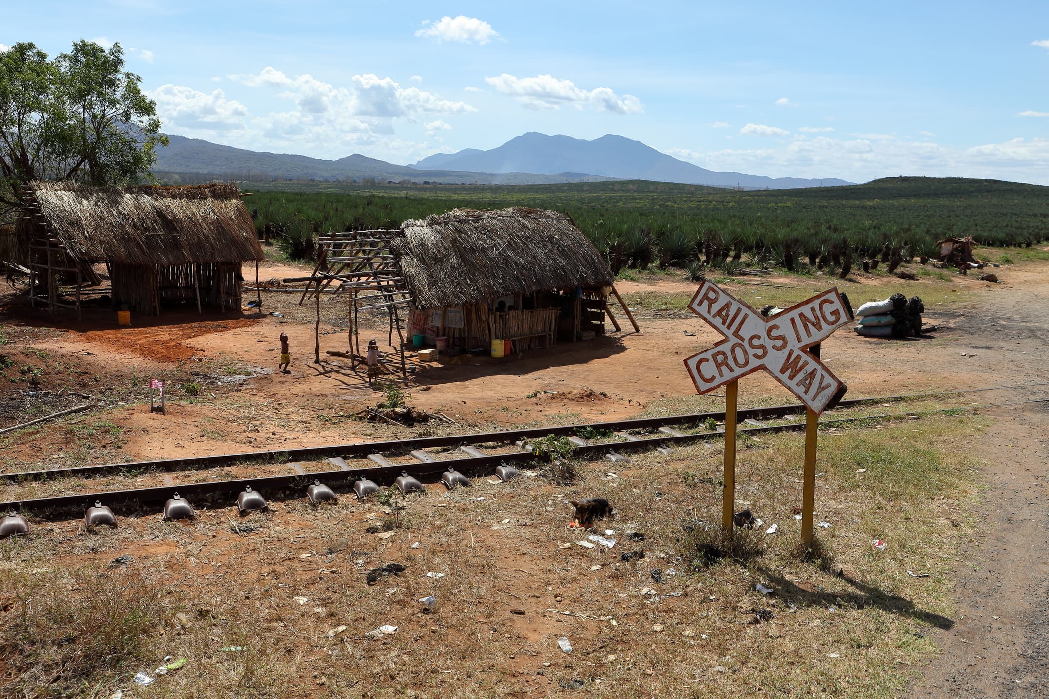 Tanzania Gets US$200 Million For Rail Upgrades