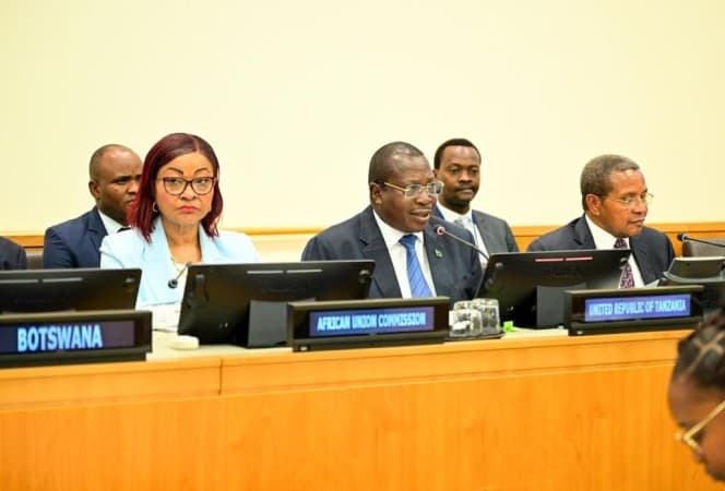 Tanzania Looks To Mobilise Water Sector Investment