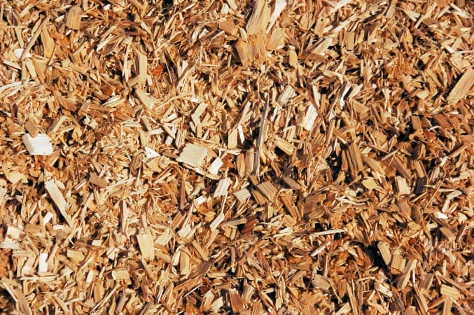 NamPower Receives Bids For Biomass Plant