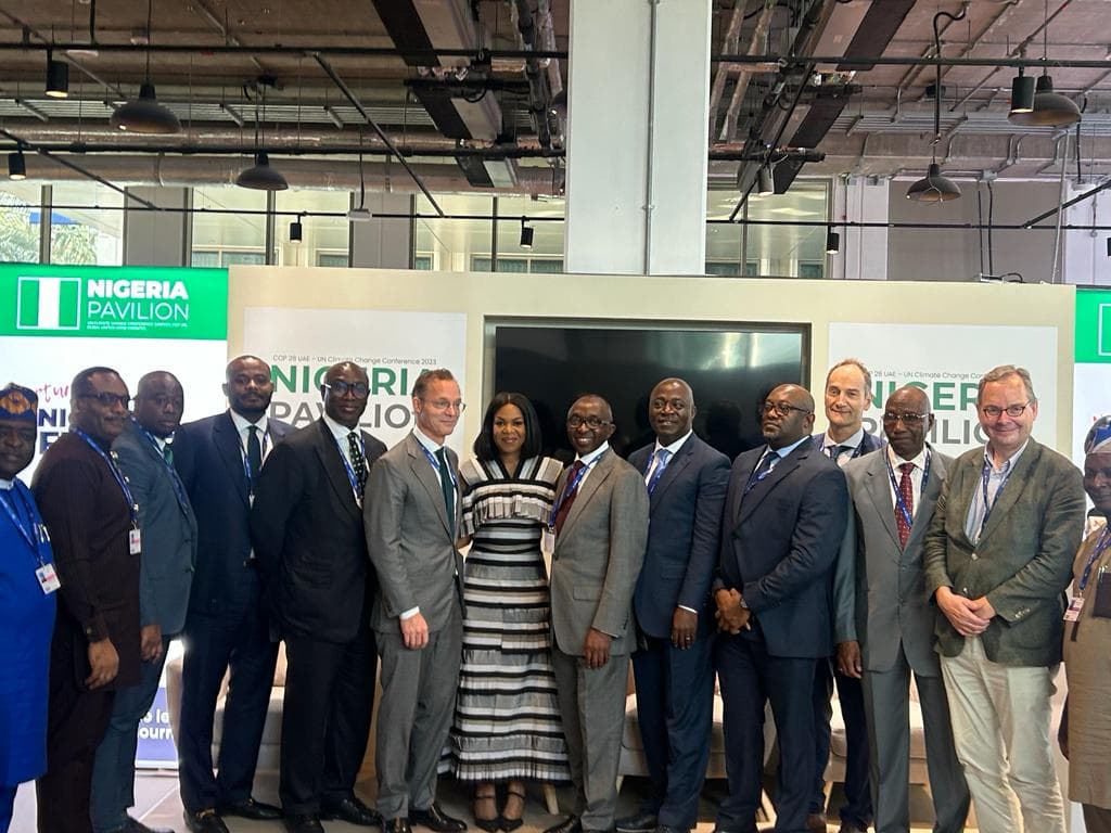 Nigeria Signs Deal For 1GW Solar Panel Factory