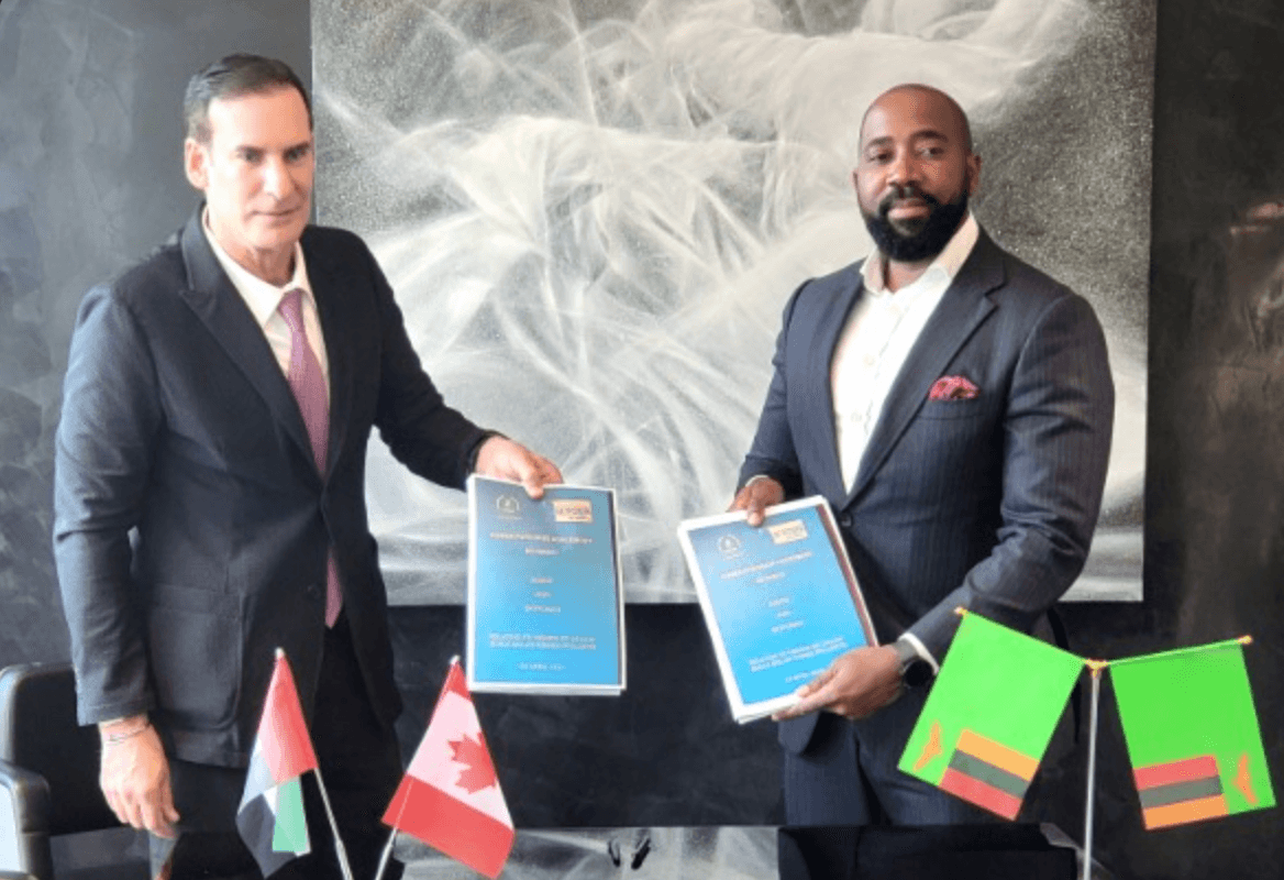 SkyPower Global Inks 1GW Zambia Solar PPA